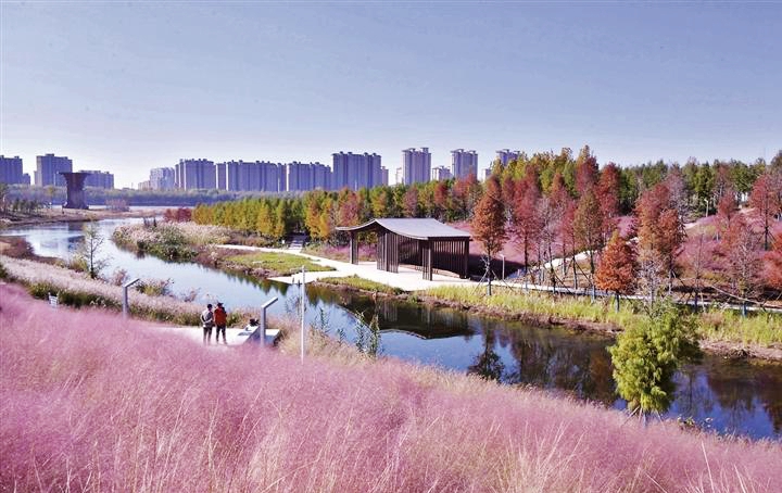 淇水櫻華園冬景