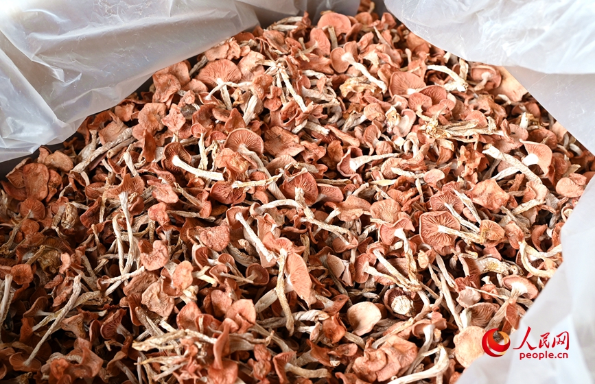 干菇打包。人民网记者 王玉兴摄
