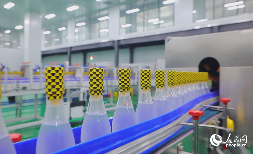 智能车间内,一瓶瓶分离式蜂蜜水穿梭在生产线上。人民网记者 徐驰摄