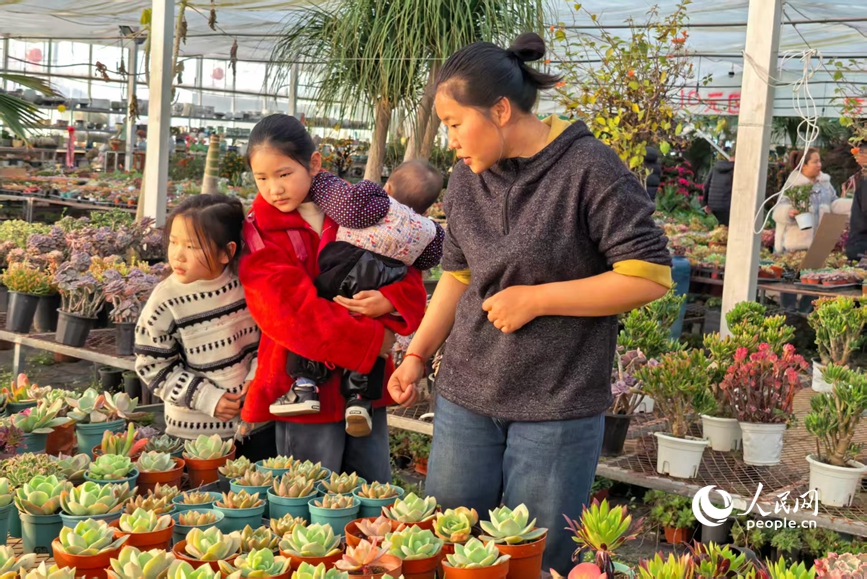 暖意满棚，选购正酣。人民网 程明辉摄