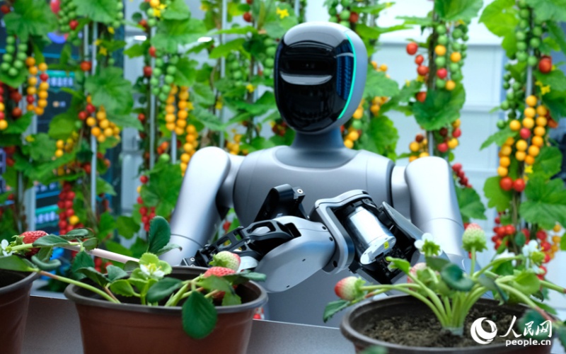 郑州机器人训练场：让“出厂新手”变“岗位能手”