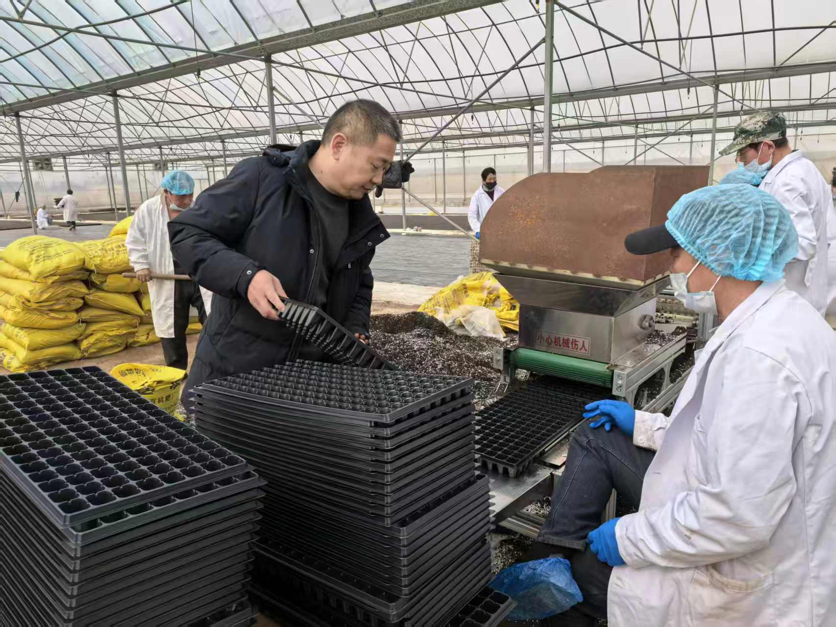 图为建安区祥润农业合作社育苗工场正在机械化育苗。王军红摄
