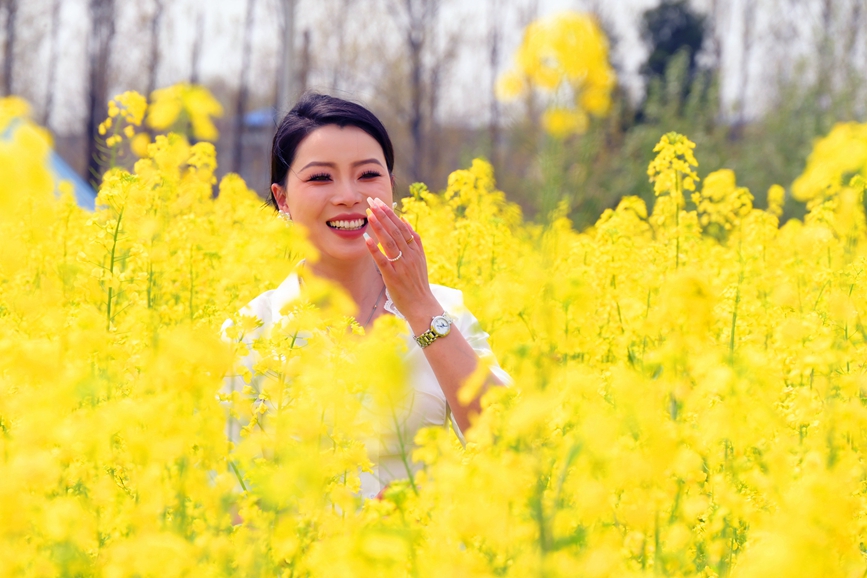 近日，南陽市社旗縣鄉村沃野百花盛開，吸引游客前來游玩、拍照。申鴻皓攝