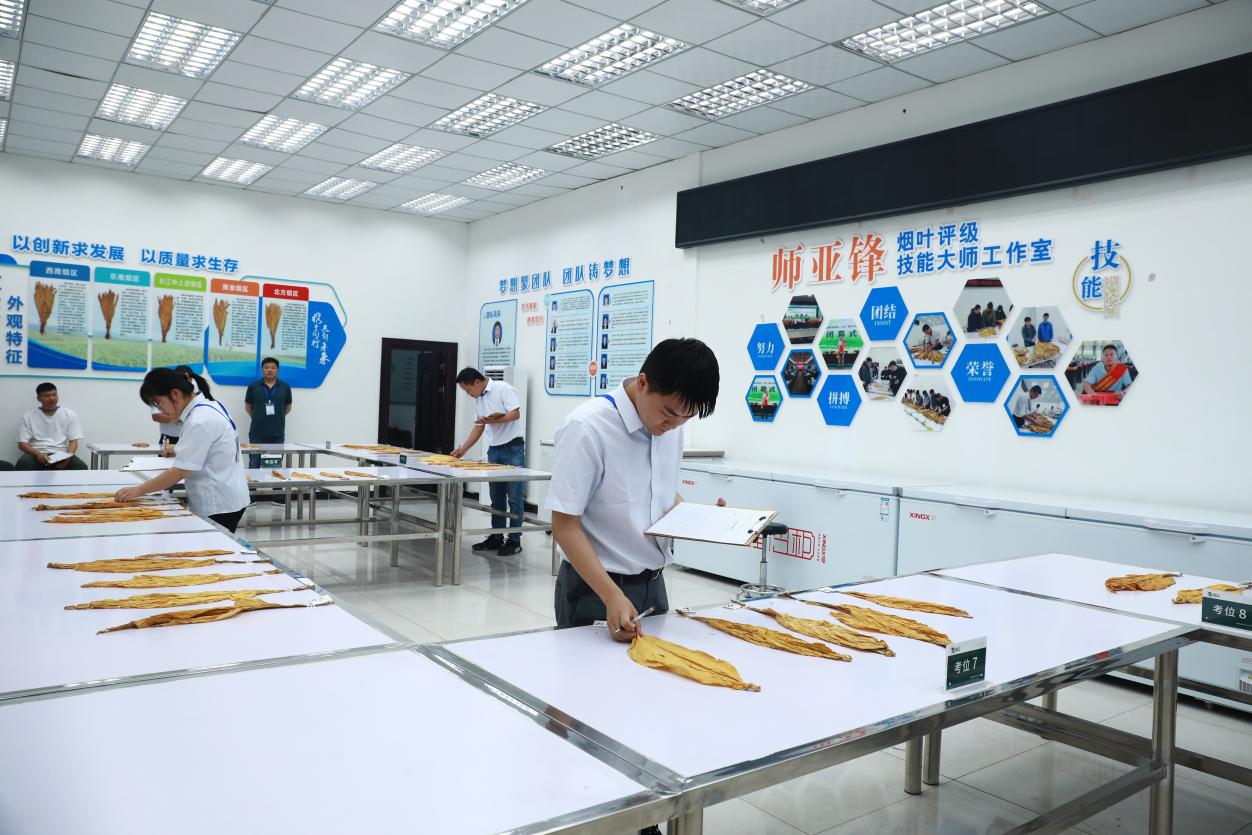 圖為全市煙葉分級技能大賽實操現場。姚諄攝
