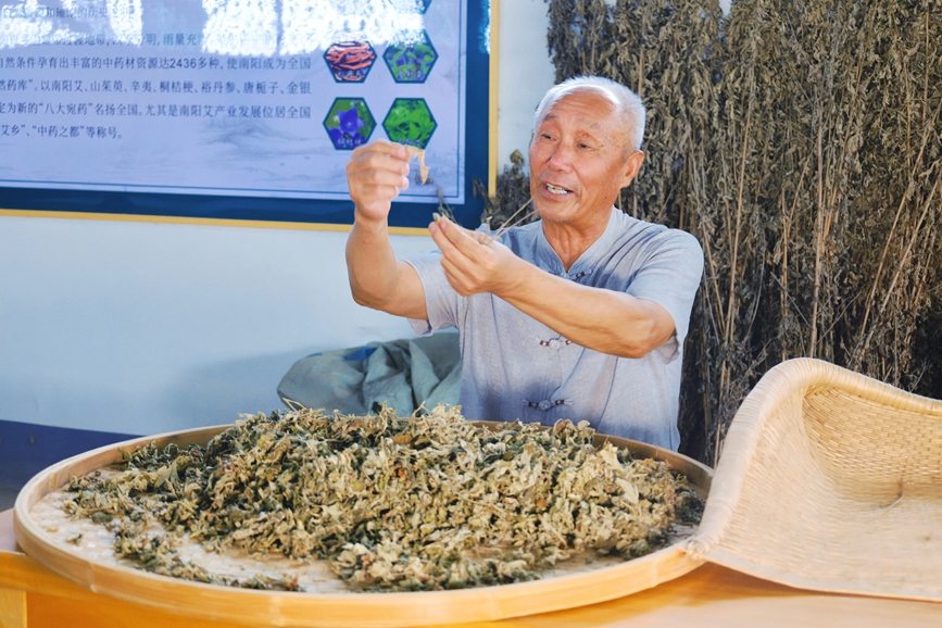 南阳国医仲景产业集团片区非物质文化遗产代表性传承人正在运用“古法九技”“挑”艾、“揉”艾。张新军摄