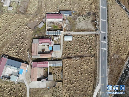 (五中全会精神在基层)(4)青海:“网红公路”的旅游经济带动地区发展
